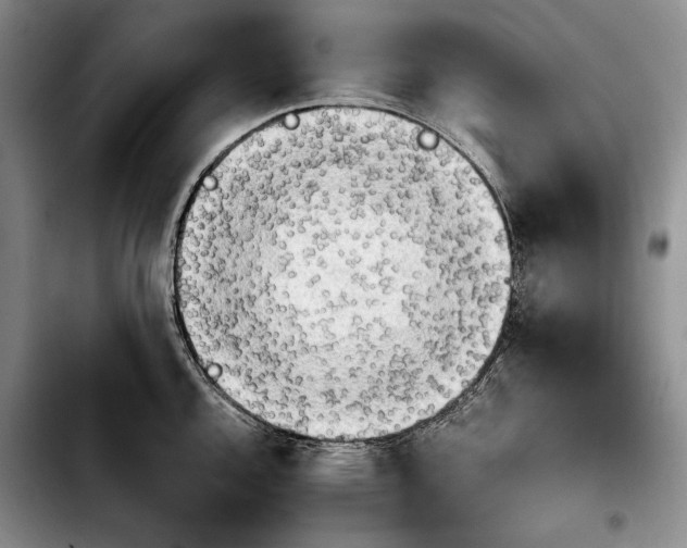 X0000103901144200810101239