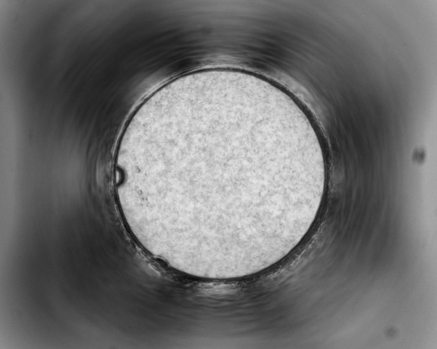 X0000103901145200810101239