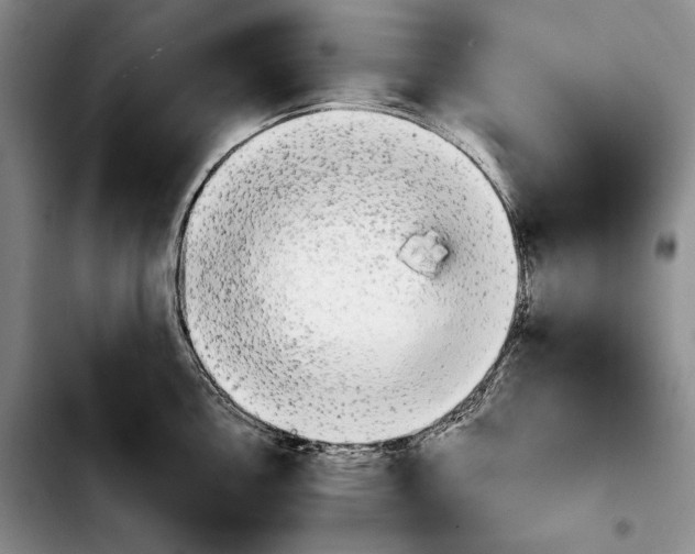 X0000103901146200810101239