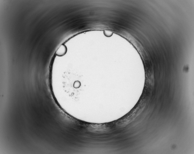 X0000103901147200810101239