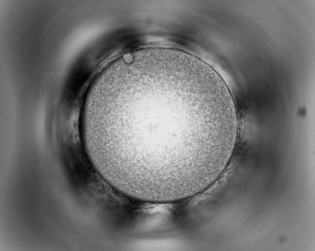 X0000103901150200810101239