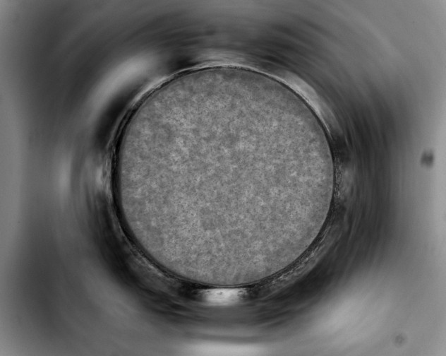 X0000103901151200810101239