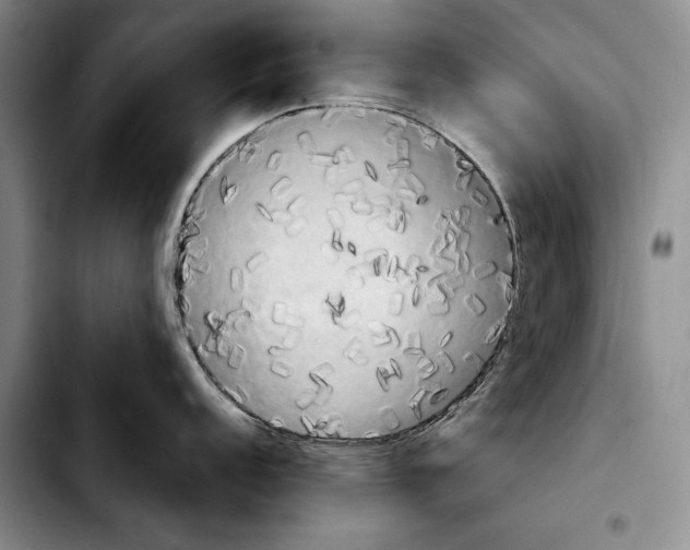 X0000103901152200810101239