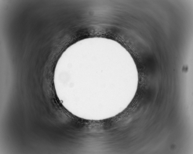 X0000103901153200810101239