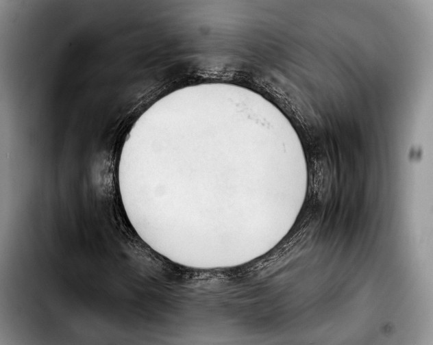 X0000103901154200810101239