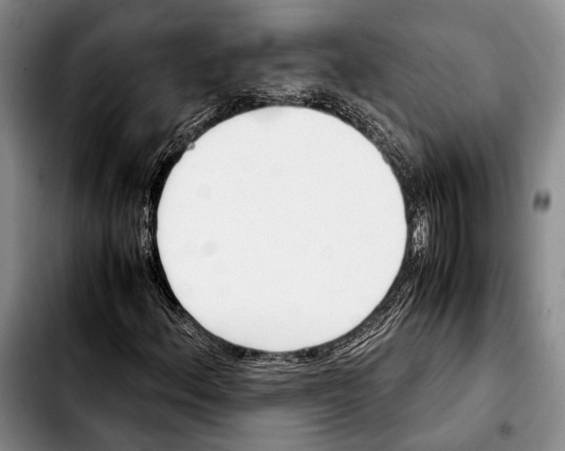 X0000103901156200810101239