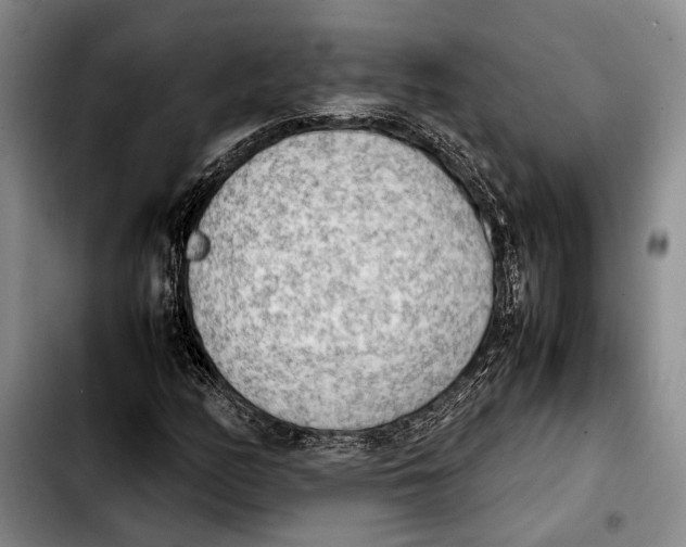 X0000103901158200810101239