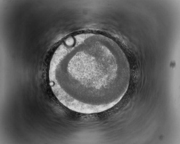 X0000103901159200810101239