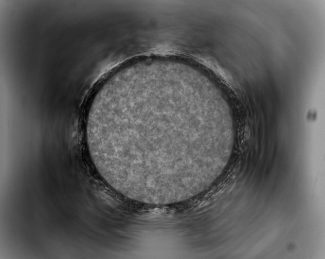 X0000103901160200810101239