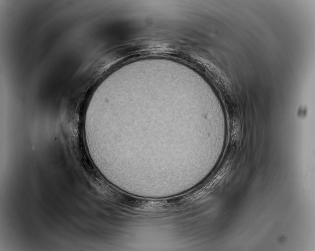 X0000103901161200810101239