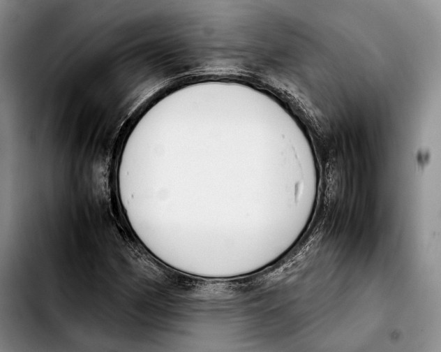 X0000103901162200810101239