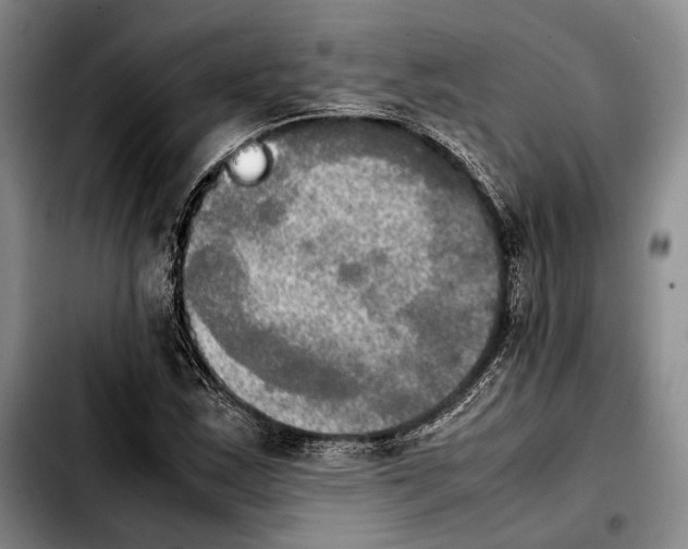 X0000103901163200810101239