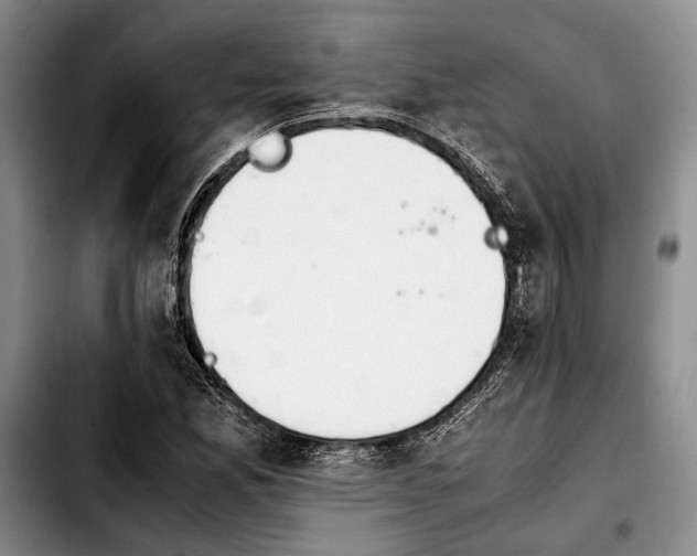 X0000103901165200810101239