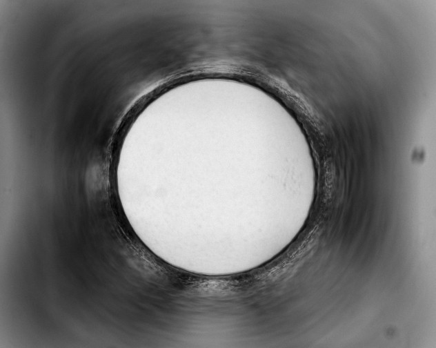 X0000103901166200810101239