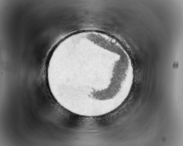 X0000103901167200810101239