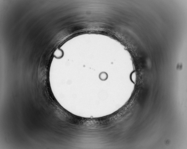 X0000103901169200810101239