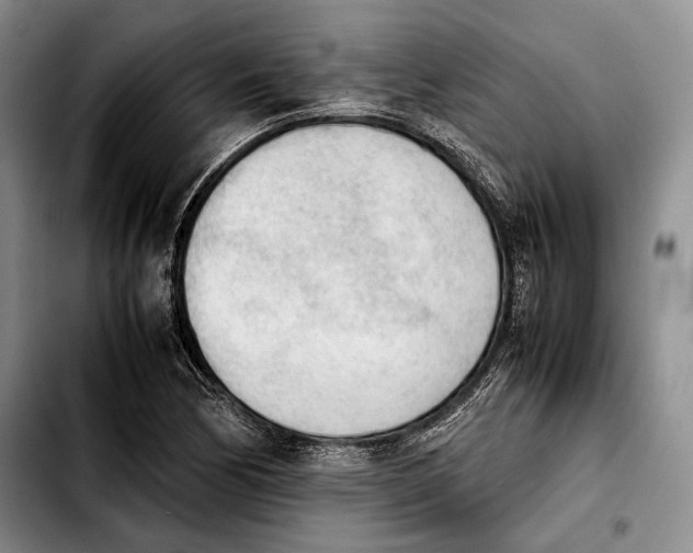 X0000103901170200810101239