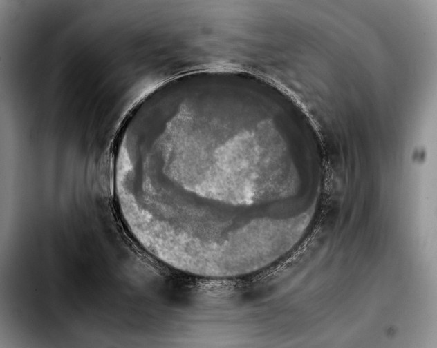 X0000103901171200810101239