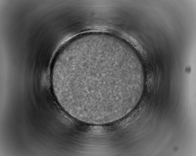 X0000103901172200810101239