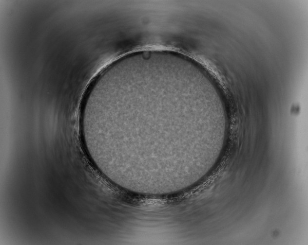 X0000103901173200810101239