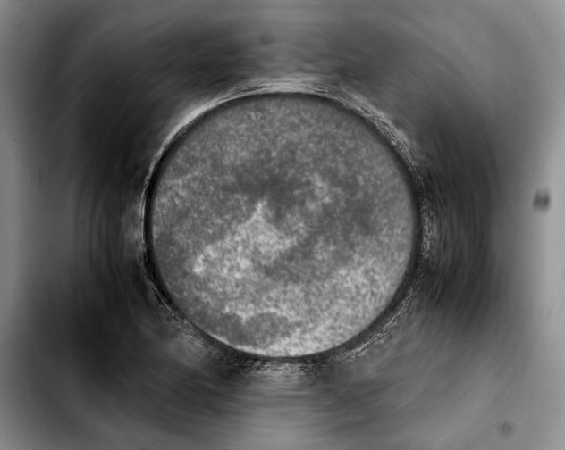 X0000103901174200810101239