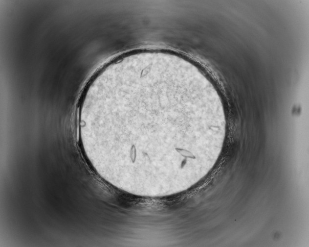 X0000103901175200810101239