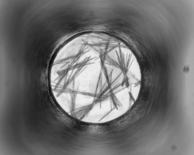 X0000103901176200810101239