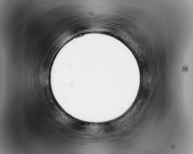 X0000103901177200810101238