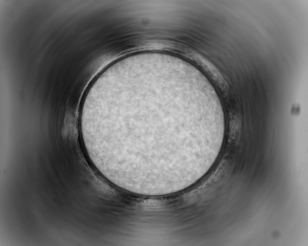 X0000103901178200810101238