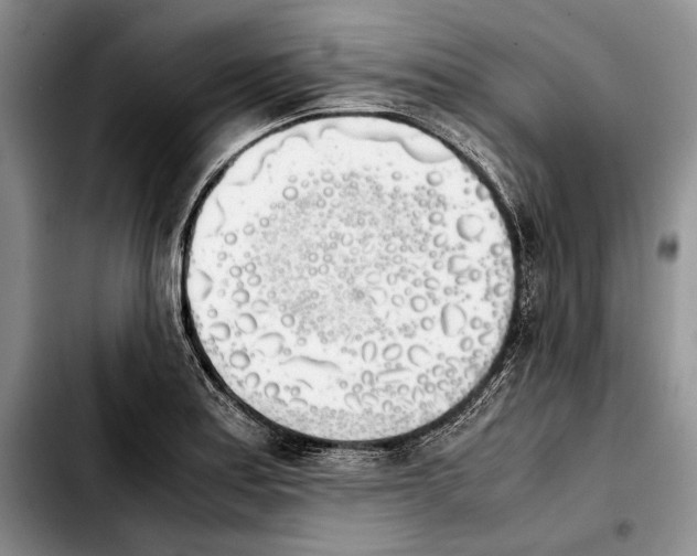 X0000103901179200810101238