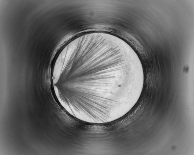 X0000103901180200810101238