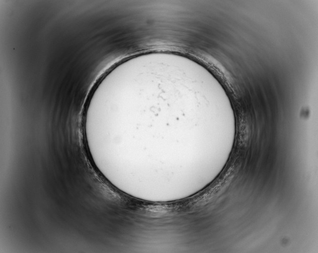 X0000103901182200810101238