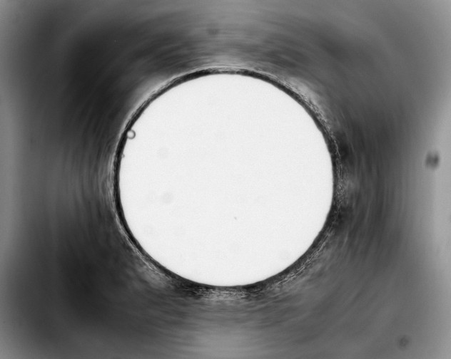 X0000103901183200810101238