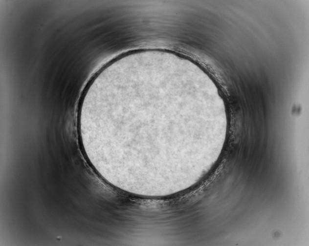 X0000103901184200810101238