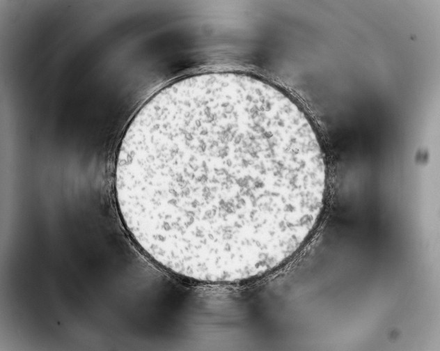 X0000103901185200810101238