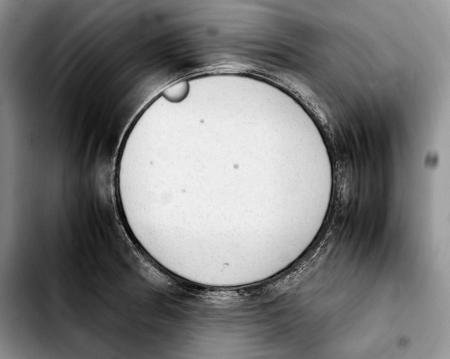 X0000103901186200810101238