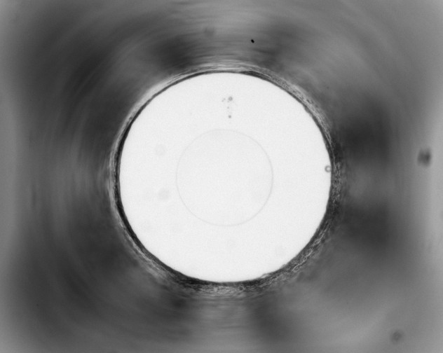 X0000103901187200810101238