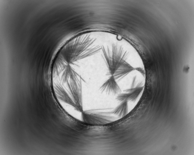 X0000103901188200810101238