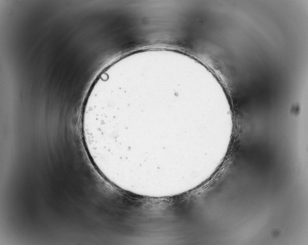 X0000103901189200810101238