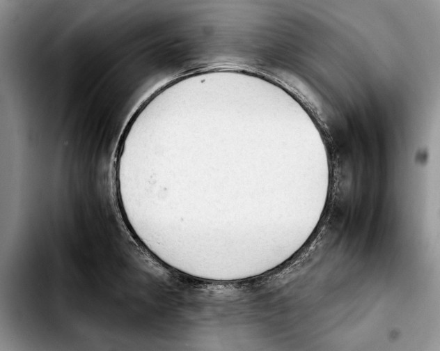 X0000103901190200810101238