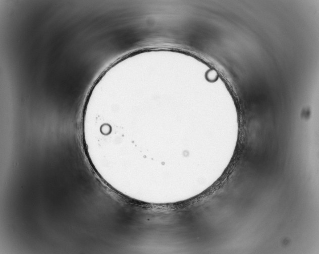 X0000103901191200810101238