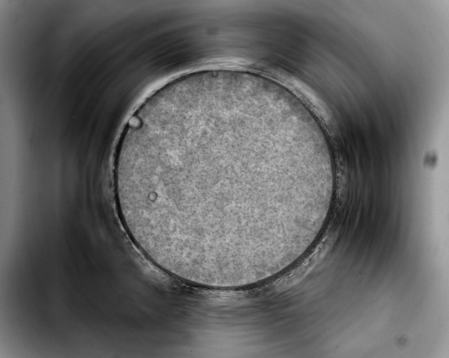 X0000103901192200810101238