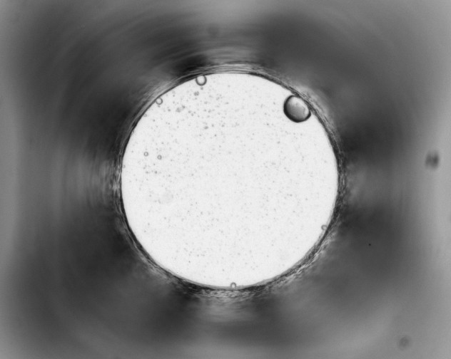 X0000103901193200810101238