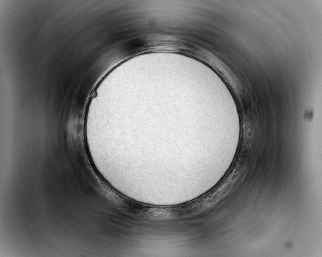 X0000103901194200810101238