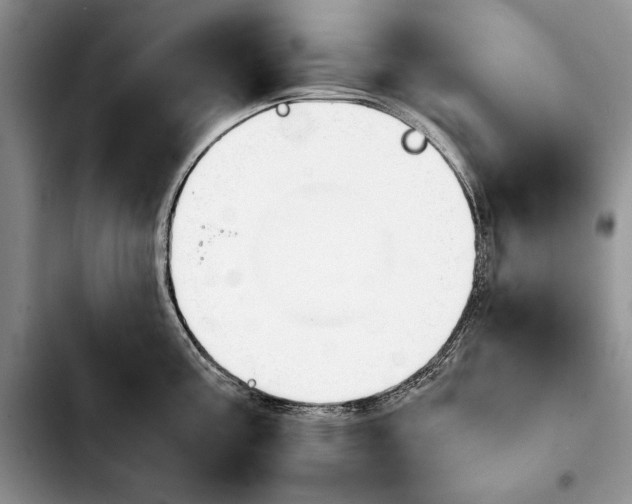 X0000103901195200810101238