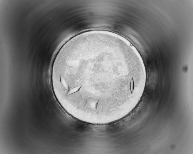 X0000103901196200810101238