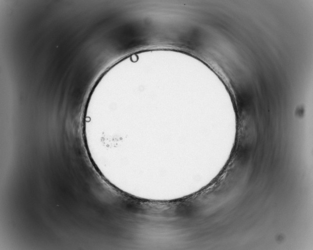 X0000103901197200810101238