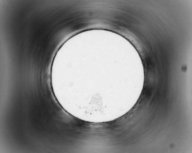 X0000103901199200810101238