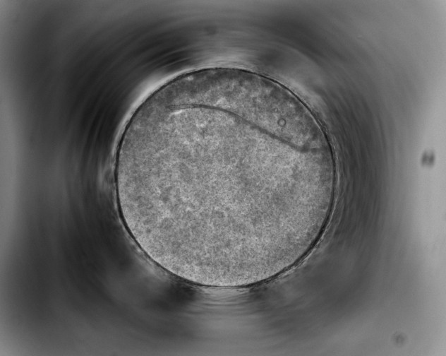 X0000103901200200810101238