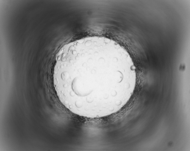 X0000103901201200810101237